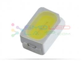 3.0 - 3.6 V Voltage 3020 SMD LED 50000 - 100000 H Lifespan 2 Year Warranty